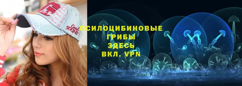 Галлюциногенные грибы Psilocybine cubensis  MEGA ссылки  Болхов 